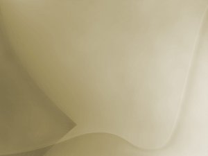 新人学预算管理最需要掌握的内容